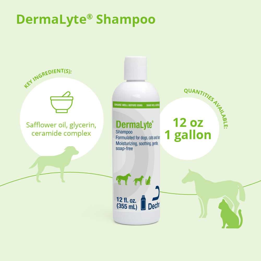 dermalyte shampoo 12 ounce