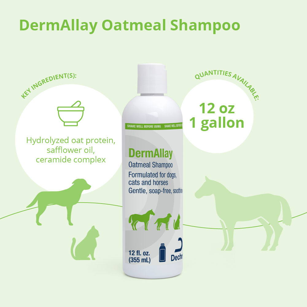 dermallay oatmeal shampoo for dogs  cats  and horses  12 fl oz