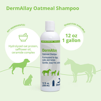 DermAllay Oatmeal Shampoo for Dogs  Cats  and Horses  12 fl oz
