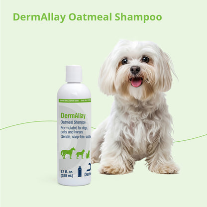 DermAllay Oatmeal Shampoo for Dogs  Cats  and Horses  12 fl oz