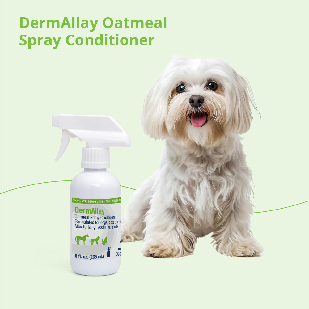 dermallay oatmeal spray conditoner for dogs, cats, & horses, 8 oz