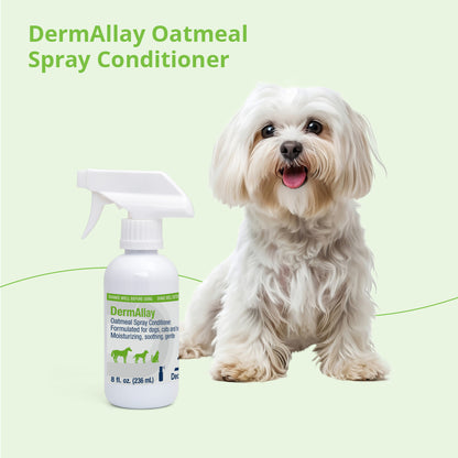 Dermallay Oatmeal Spray Conditoner for Dogs, Cats, & Horses, 8 oz