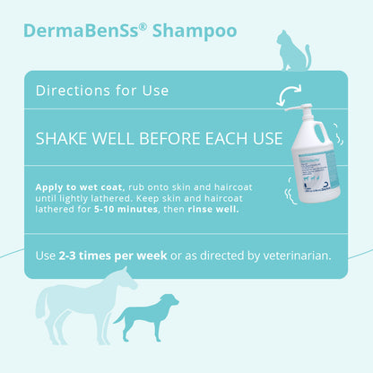 DermaBenSs Shampoo, Gallon