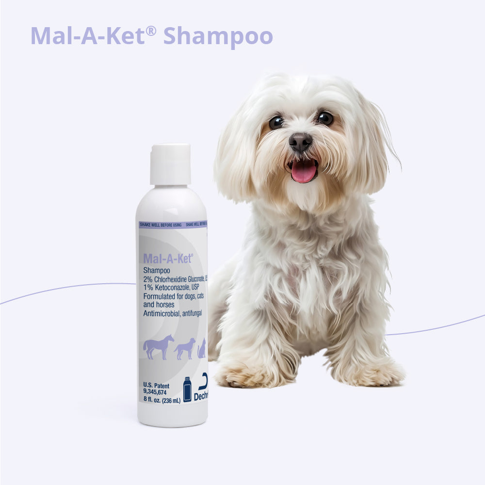 mal-a-ket shampoo, 8 oz