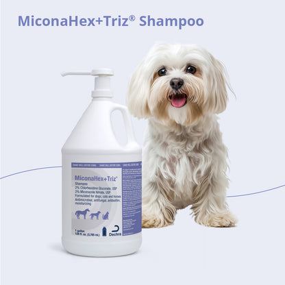 MiconaHex+Triz Shampoo, Gallon
