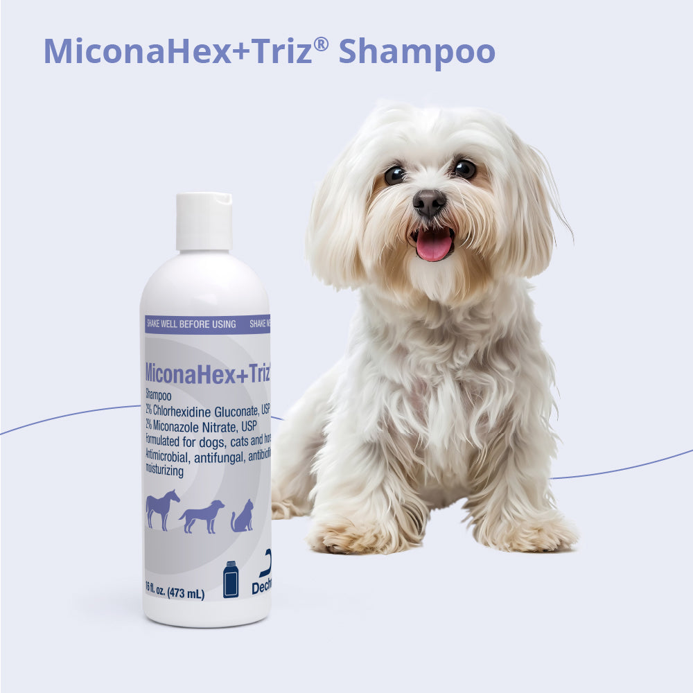 miconahex+triz shampoo, 16 oz