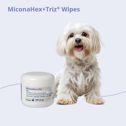 MiconaHex+Triz Wipes, 2.25" round, 50 count jar