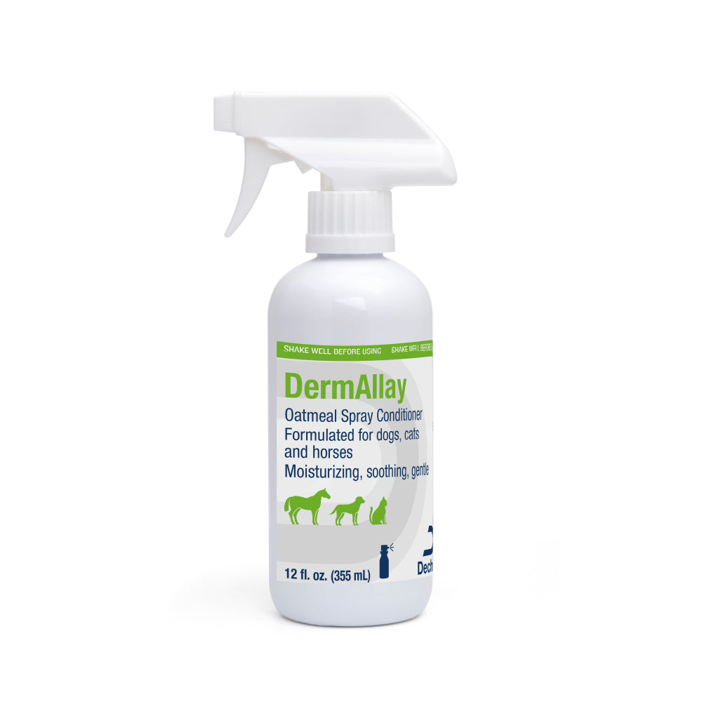 dermallay oatmeal spray conditioner for dogs, cats, & horese, 12 oz