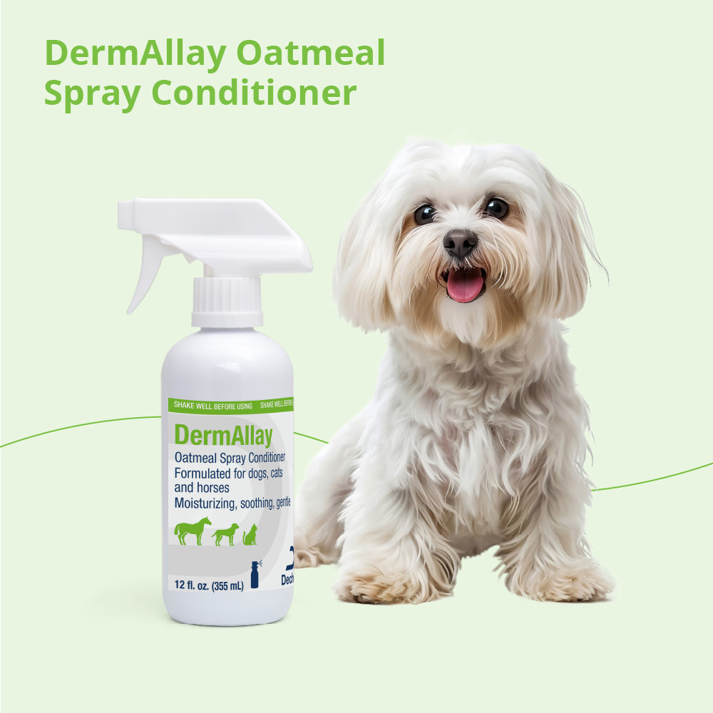 dermallay oatmeal spray conditioner for dogs, cats, & horese, 12 oz