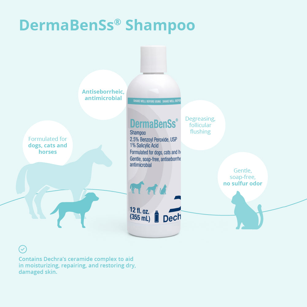 dermabenss shampoo for dogs  cats and horses  12 fl oz