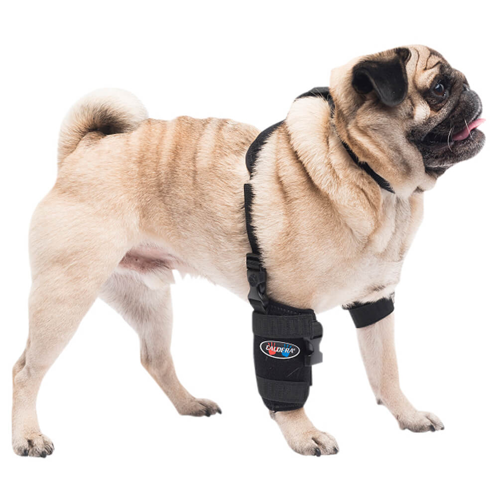 caldera pet universal therapy carpal/elbow wrap with therapy gel, small