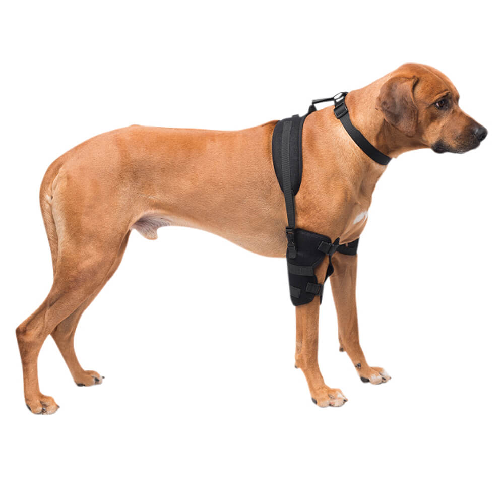 caldera pet therapy elbow wrap with therapy gel, large