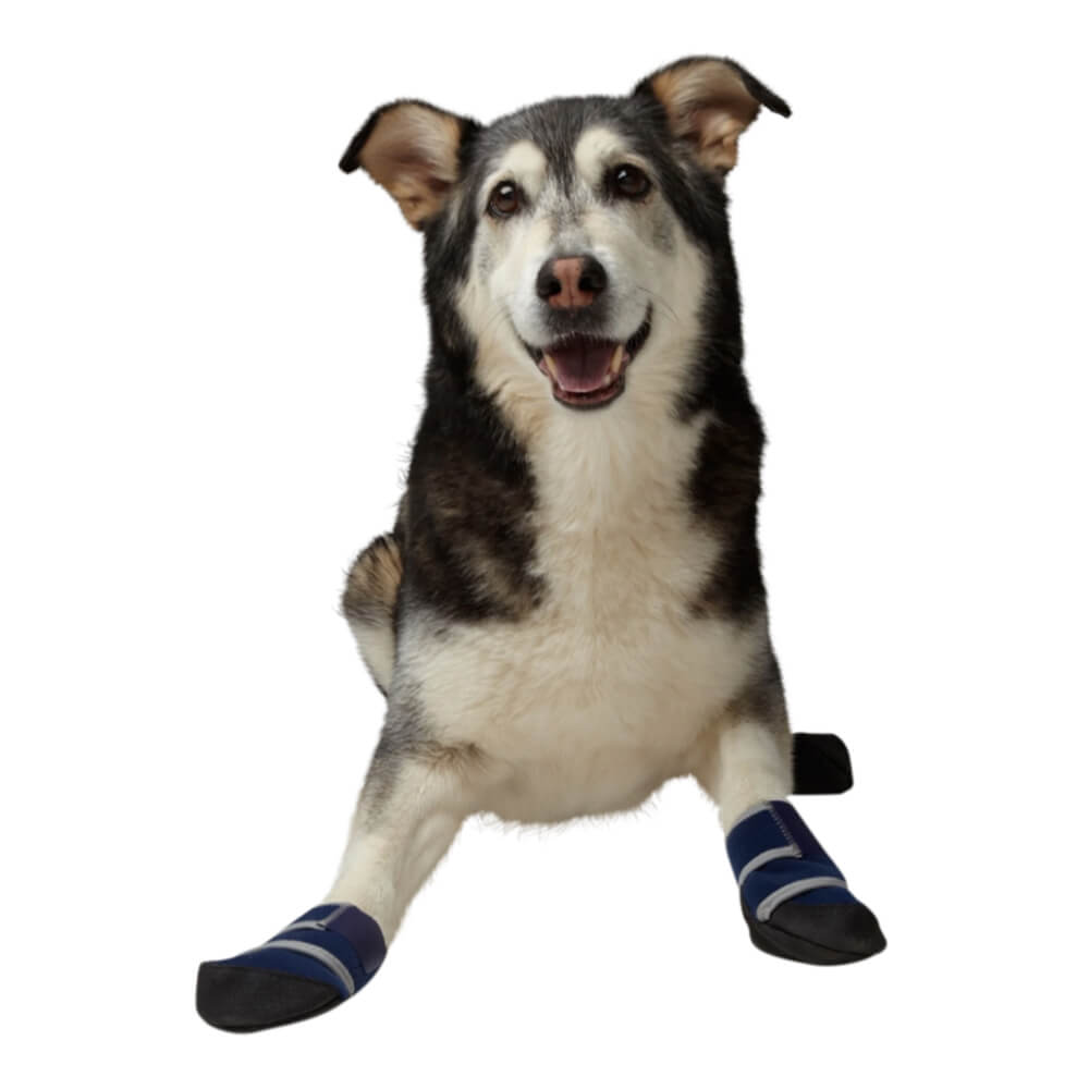 healers medical dog boots box set of 2 boots & 2 gauze pads, large