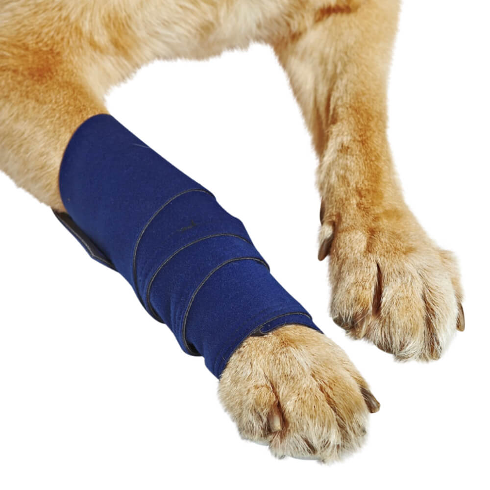 healers leg wrap for dogs, medium