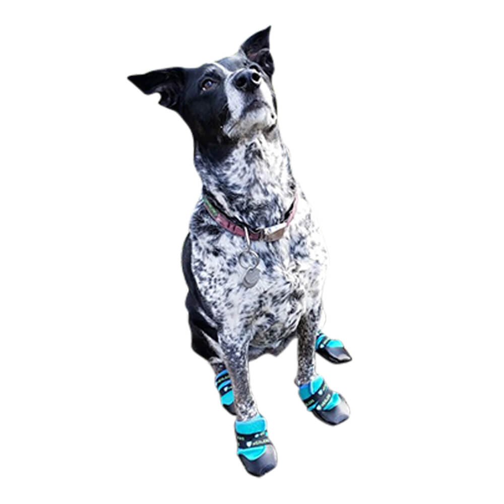 healers urban walker dog boots, pair, teal, large