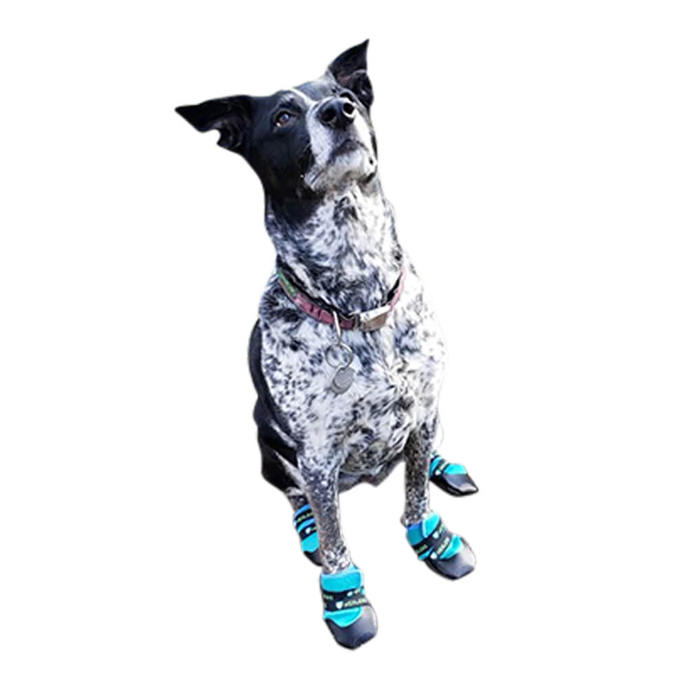 healers urban walker dog boots, pair, teal, xsmall