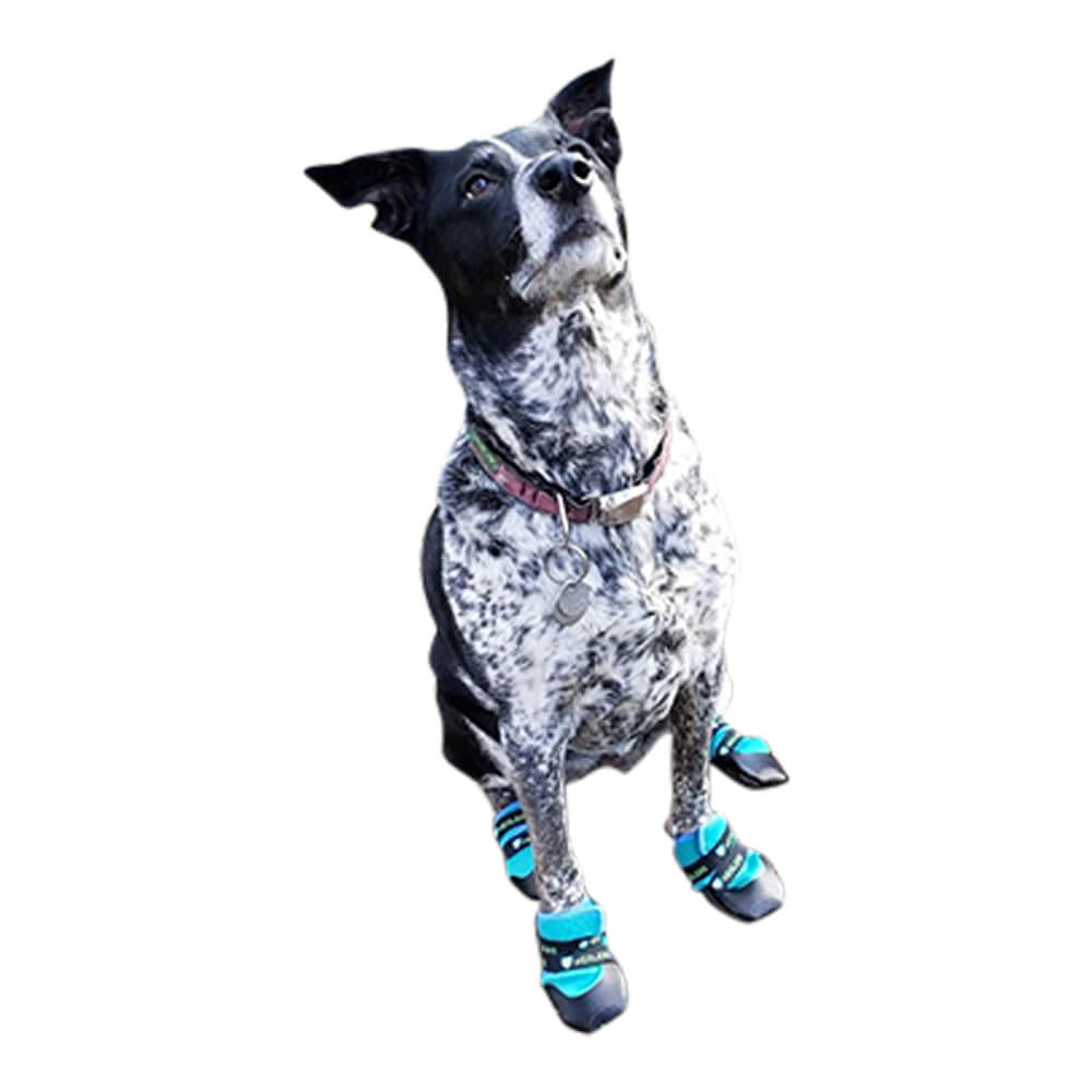 healers urban walker dog boots, pair, orange, xlarge