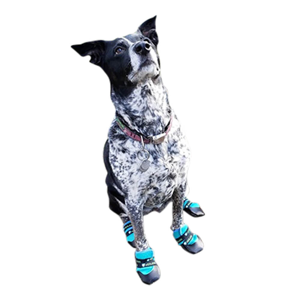 healers urban walker dog boots, pair, orange, medium/large