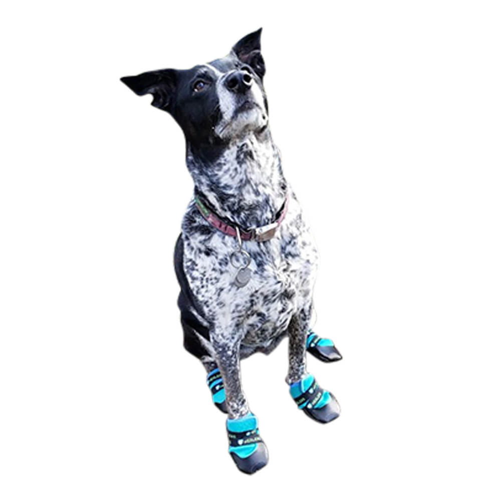 healers urban walker dog boots, pair, orange, xsmall