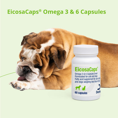 EicosaCaps Omega 3 & 6 for Large Dogs 41-70 lbs, 60 Capsules