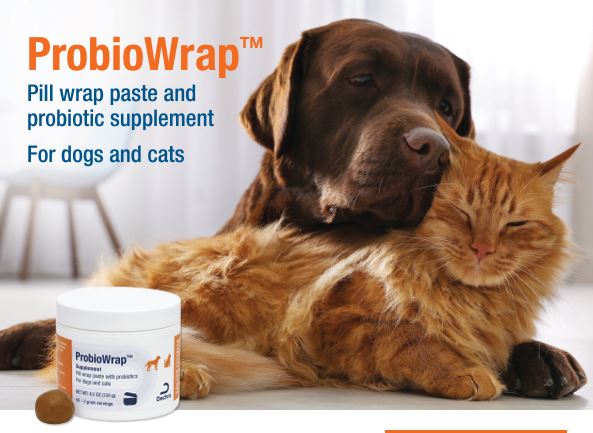 probiowrap pill wrap paste with probiotics, 4.2 oz