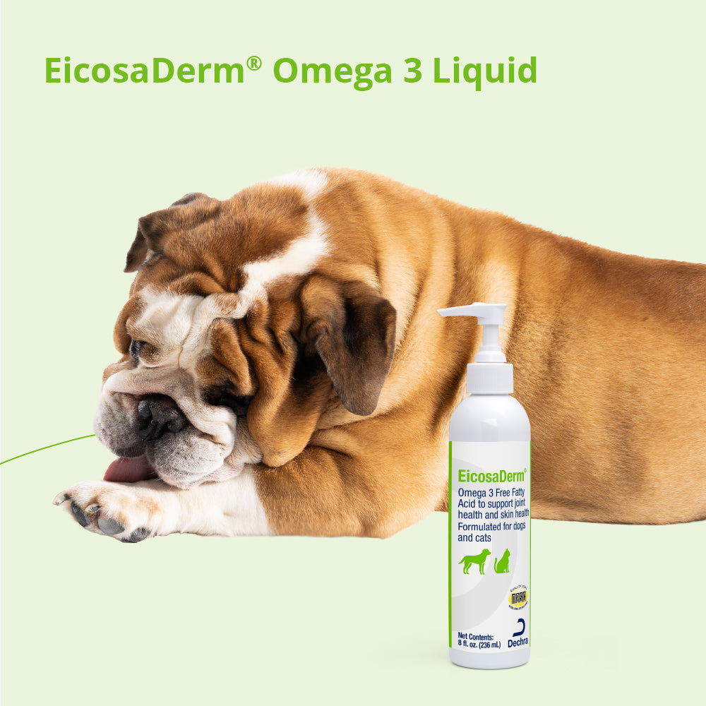 eicosaderm omega 3 liquid, 8 oz
