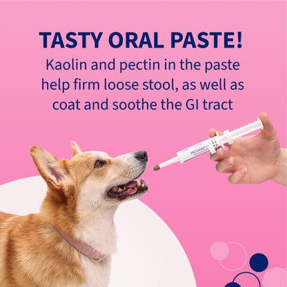Proviable-KP/DC Kit for Small Dogs and Cats, 15 mL Paste/10 Capsules