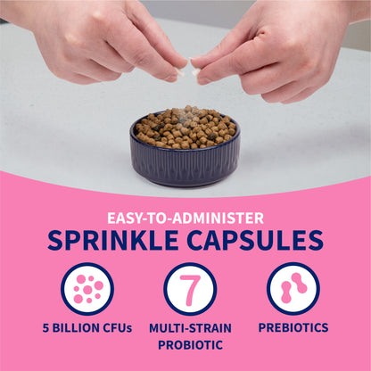 Proviable-KP/DC Kit for Small Dogs and Cats, 15 mL Paste/10 Capsules
