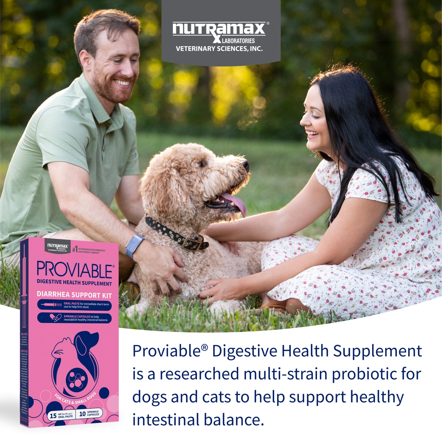 proviable-kp/dc kit for small dogs and cats, 15 ml paste/10 capsules