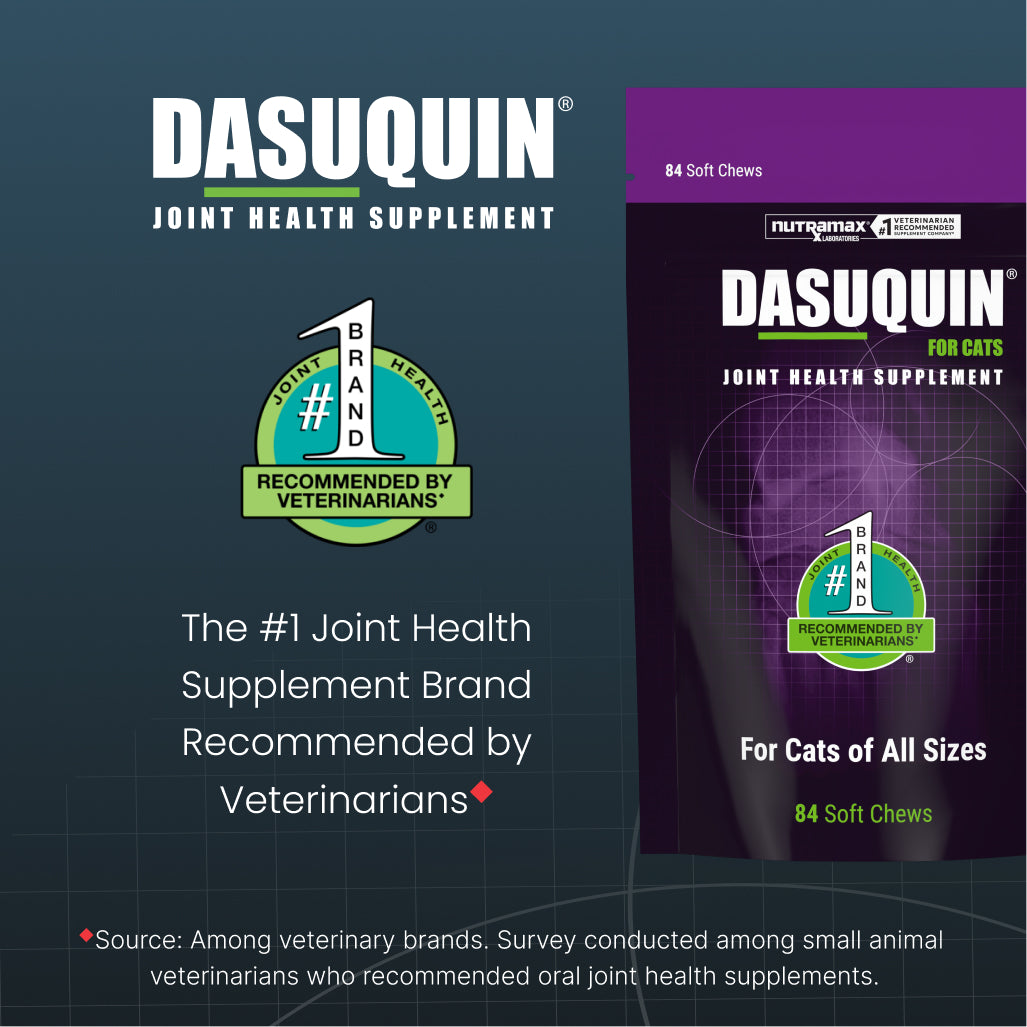 dasuquin soft chews joint for cats 84ct