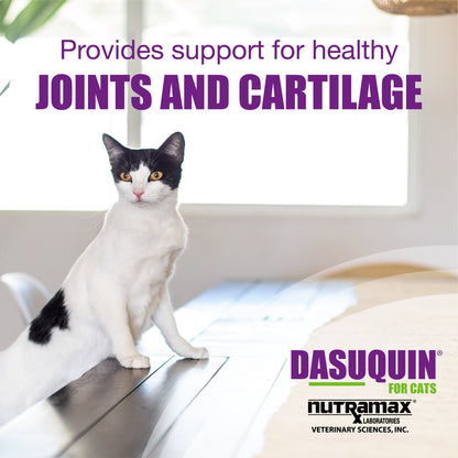 Dasuquin Soft Chews Joint for Cats 84ct