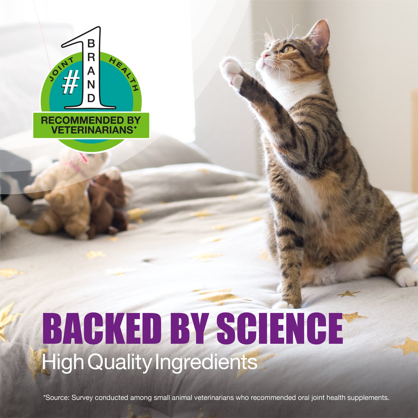 dasuquin soft chews joint for cats 84ct