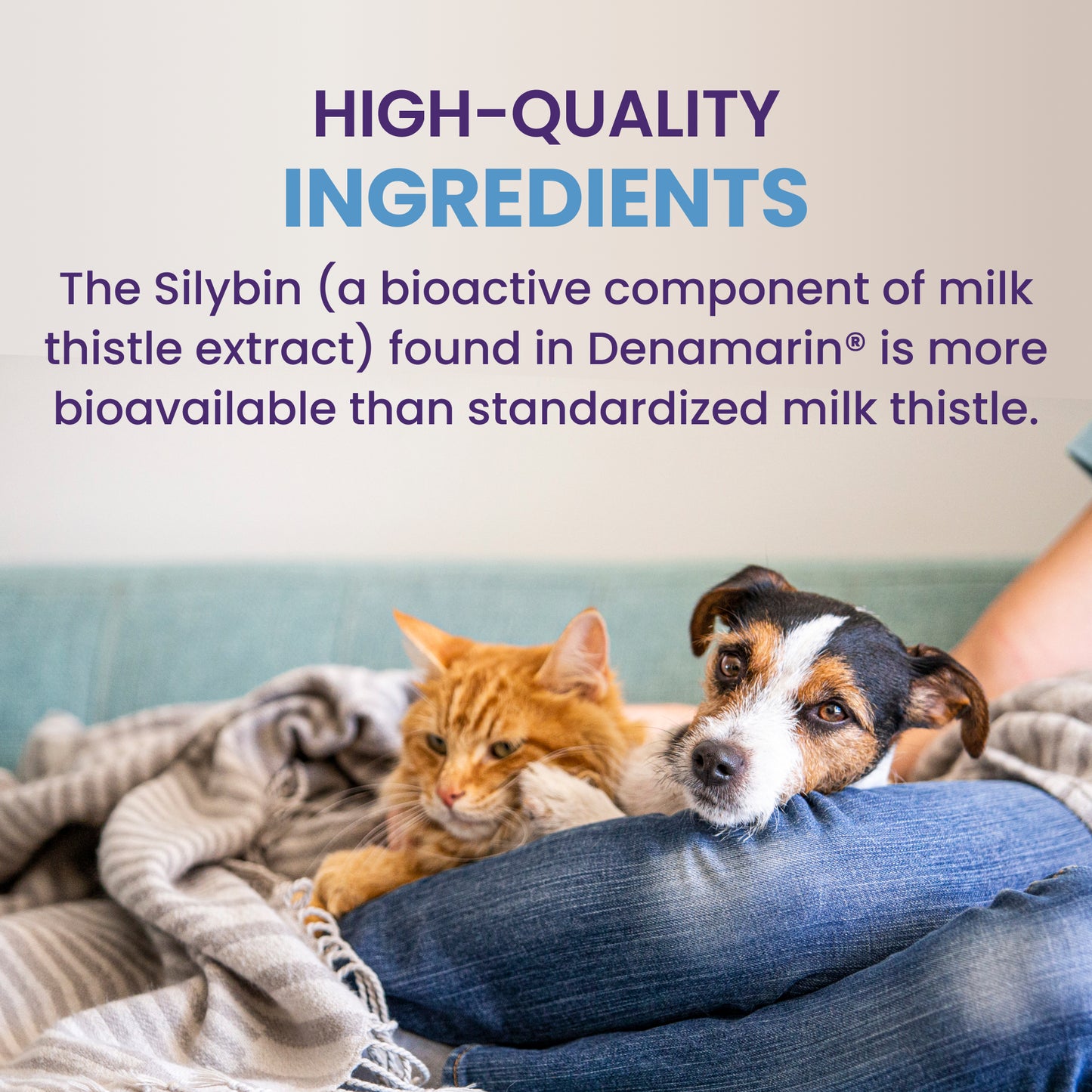 denamarin small dogs/ cats 90mg x 30 tablet bottle