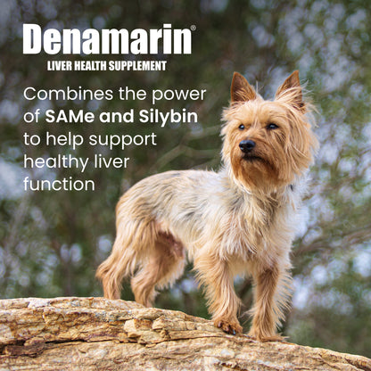 Denamarin Small Dogs/ Cats 90mg x 30 Tablet Bottle
