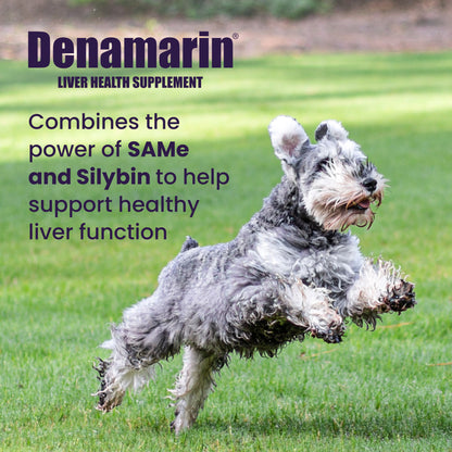 Denamarin Medium Dogs 225 mg x 30 Tablet Bottle