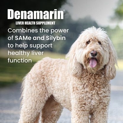 Denamarin Large Dogs  425mg x 30 Tablet Bottle