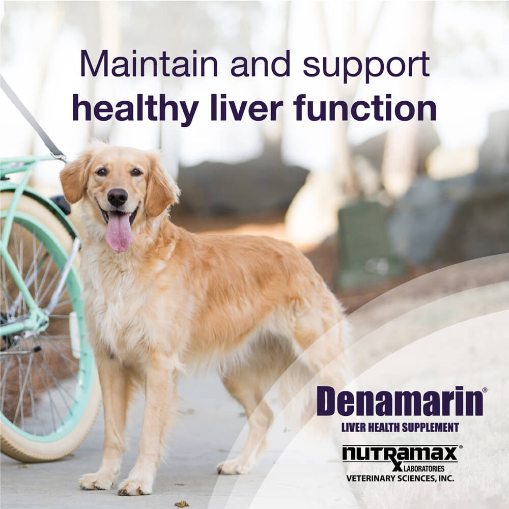 denamarin large dogs  425mg x 30 tablet bottle