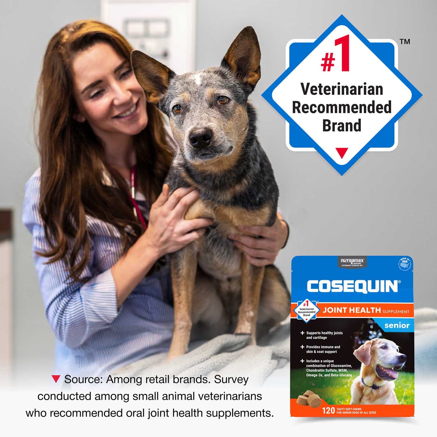 nutramax cosequin senior joint health supplement for senior dogs, 120 soft chews