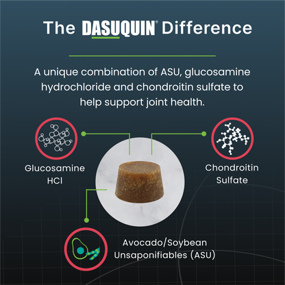 Dasuquin Senior Joint Health Supplement for Small to Medium Dogs, 84 Soft Chews