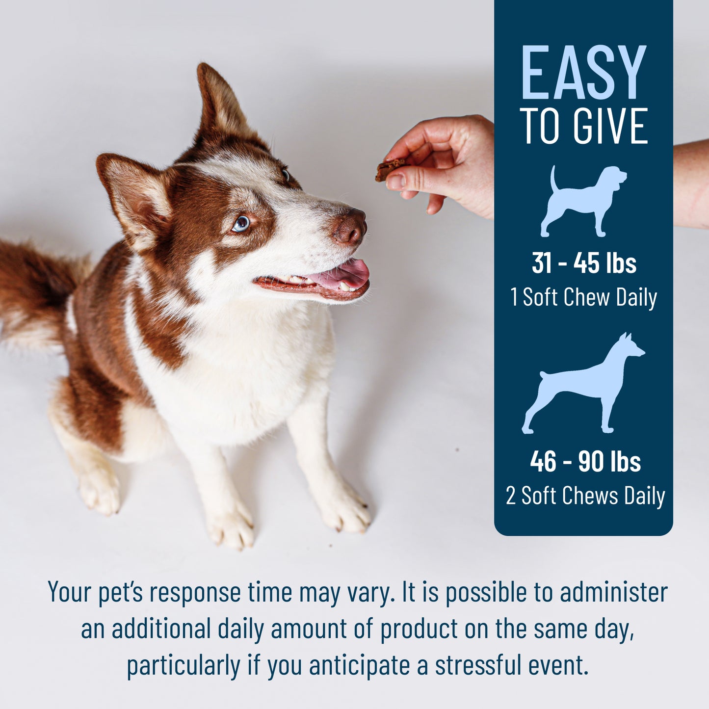 solliquin soft chews 75 ct for large dogs