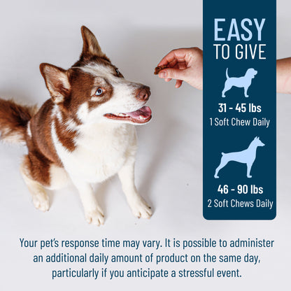 Solliquin Soft Chews 75 ct for Large Dogs