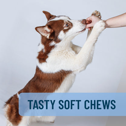 Solliquin Soft Chews 75 ct for Large Dogs