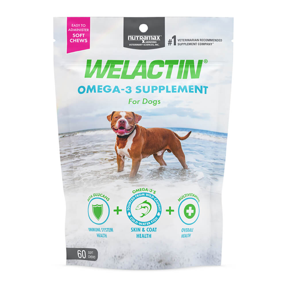 welactin daily omega-3 supplement for dogs, 60 soft chews