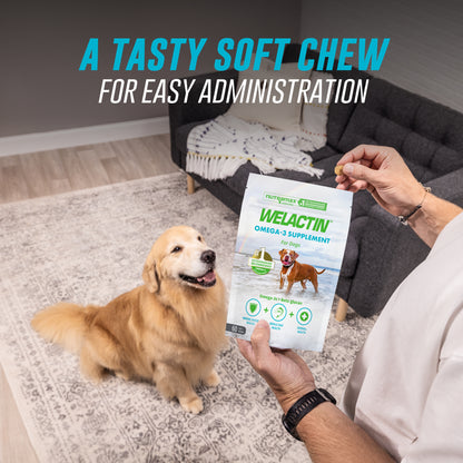 Welactin Daily Omega-3 Supplement For Dogs, 60 Soft Chews
