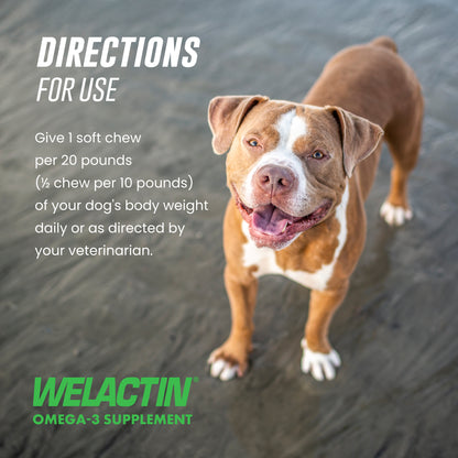 Welactin Daily Omega-3 Supplement For Dogs, 60 Soft Chews