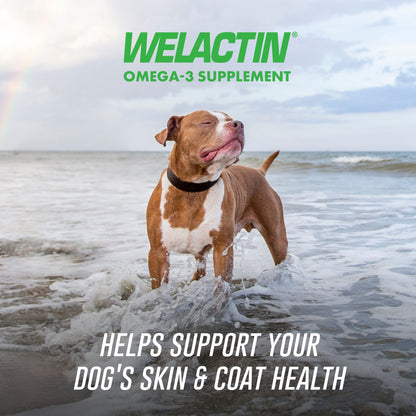 Welactin Daily Omega-3 Supplement For Dogs, 60 Soft Chews