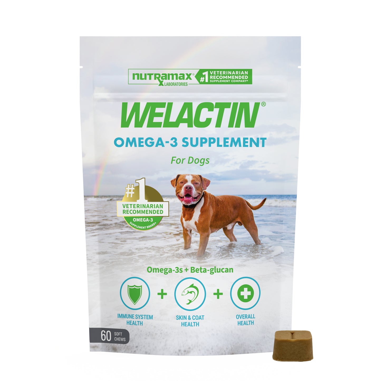 welactin daily omega-3 supplement for dogs, 60 soft chews