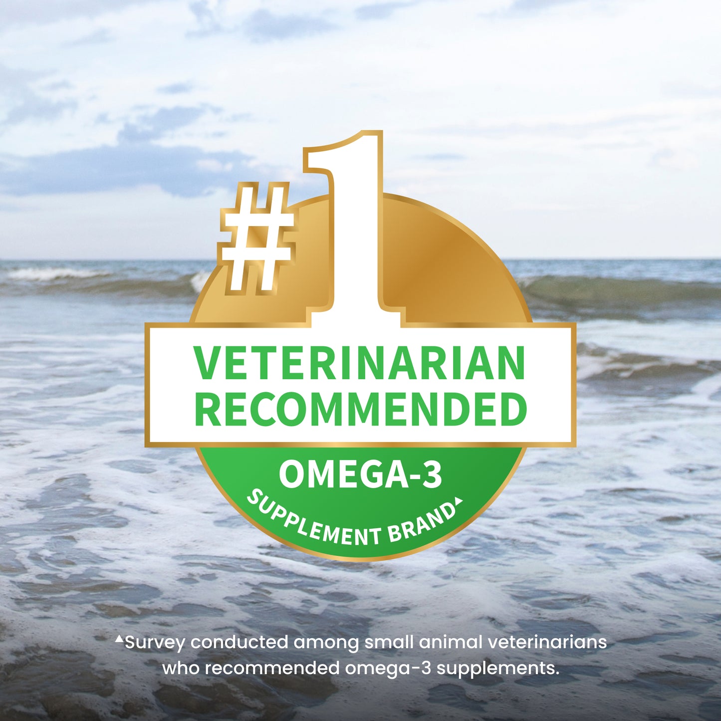 welactin daily omega-3 supplement for dogs, 60 soft chews