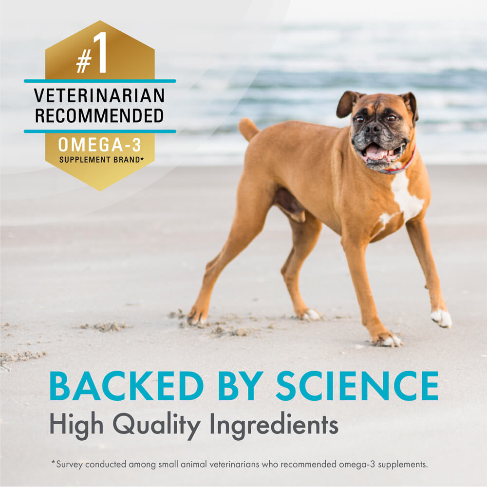 welactin daily omega-3 supplement for dogs, 60 soft chews