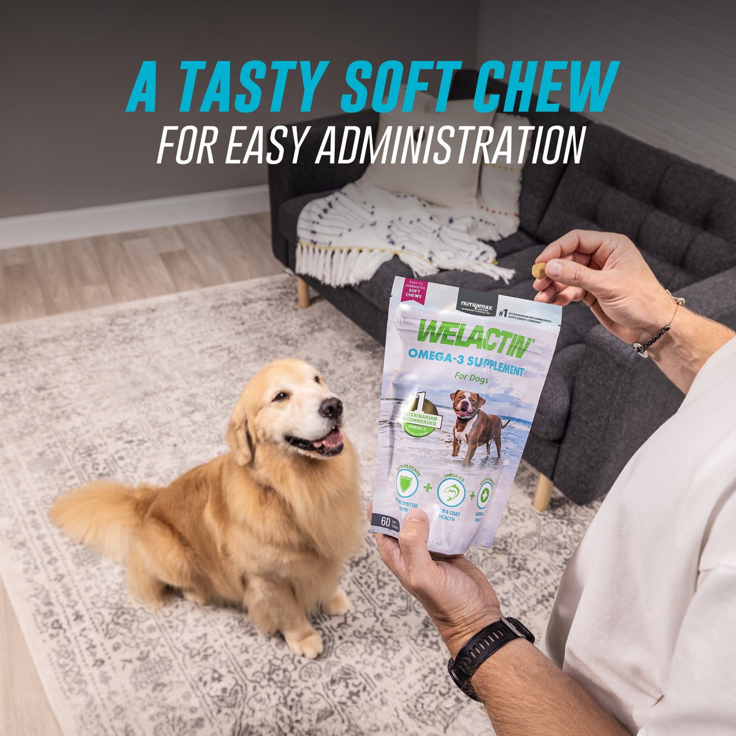 welactin daily omega-3 supplement for dogs, 60 soft chews